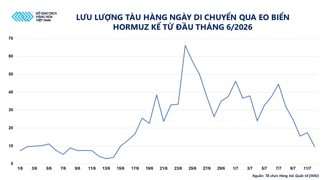 Lưu lượng tàu di chuyển qua eo biển Hormuz hằng ngày từ đầu tháng 6. Nguồn: MXV