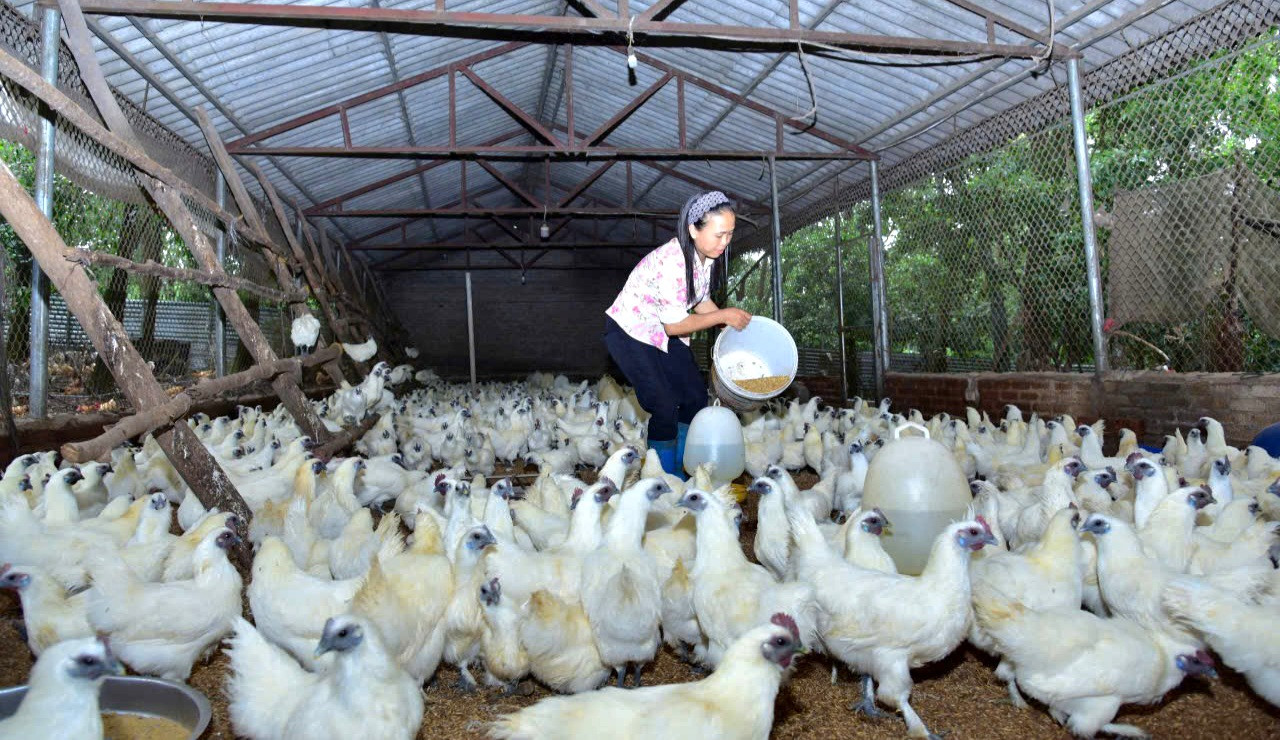thu-thoan.jpg