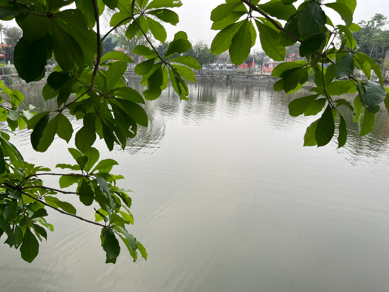 Hà Nội đang đứng trước cơ hội đặc biệt để chuyển đổi sang phát triển bền vững. Ảnh: Kiều Thoan Thu