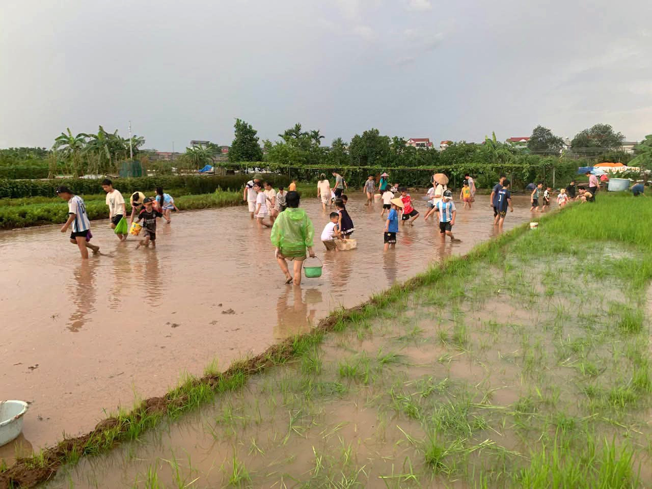trai-nghiem-kieu-phu.jpg