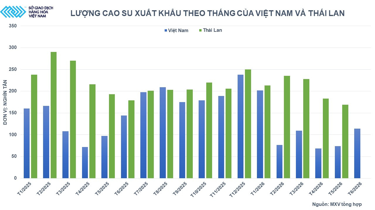 Lượng cao su xuất khẩu theo tháng của Việt Nam và Thái Lan. Nguồn: MXV