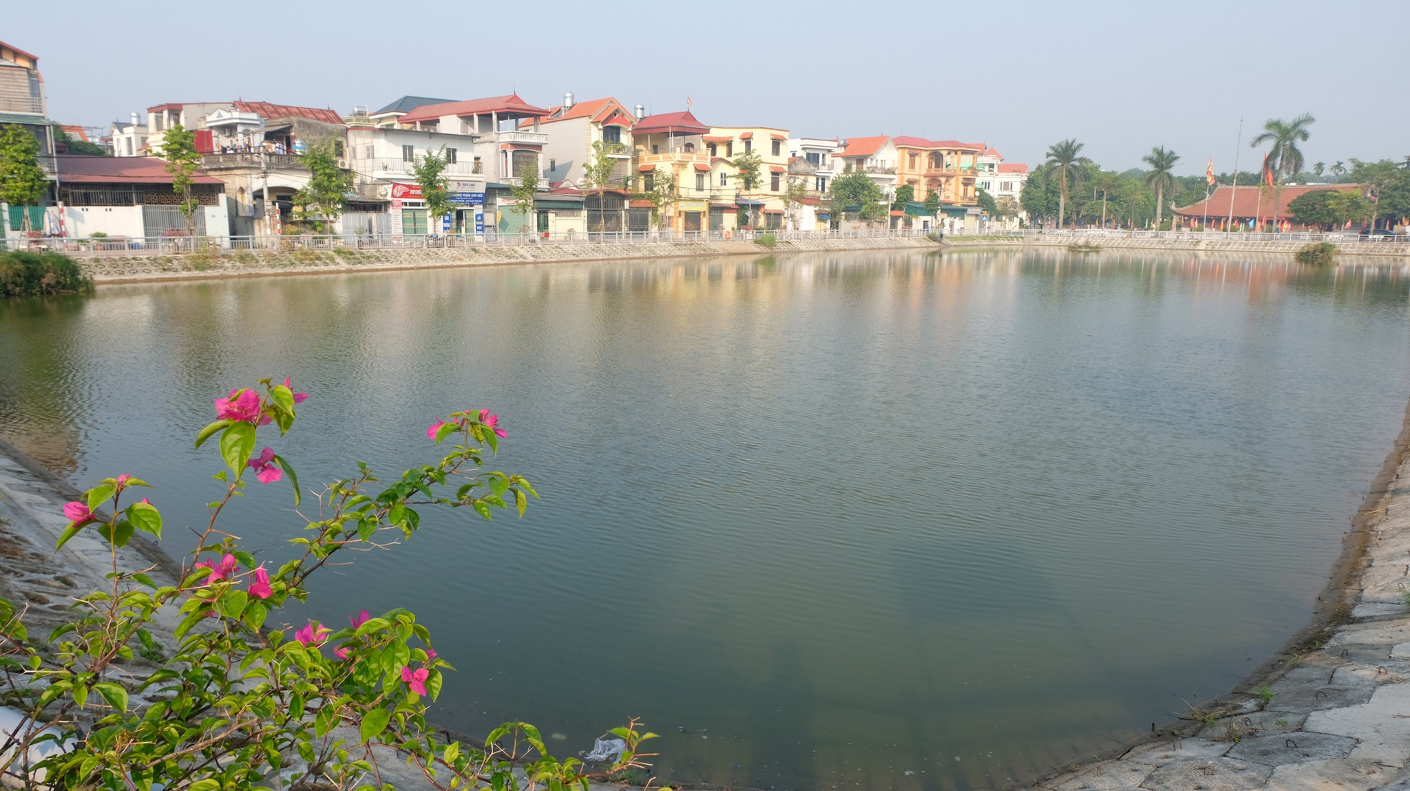 dscf4310.jpg