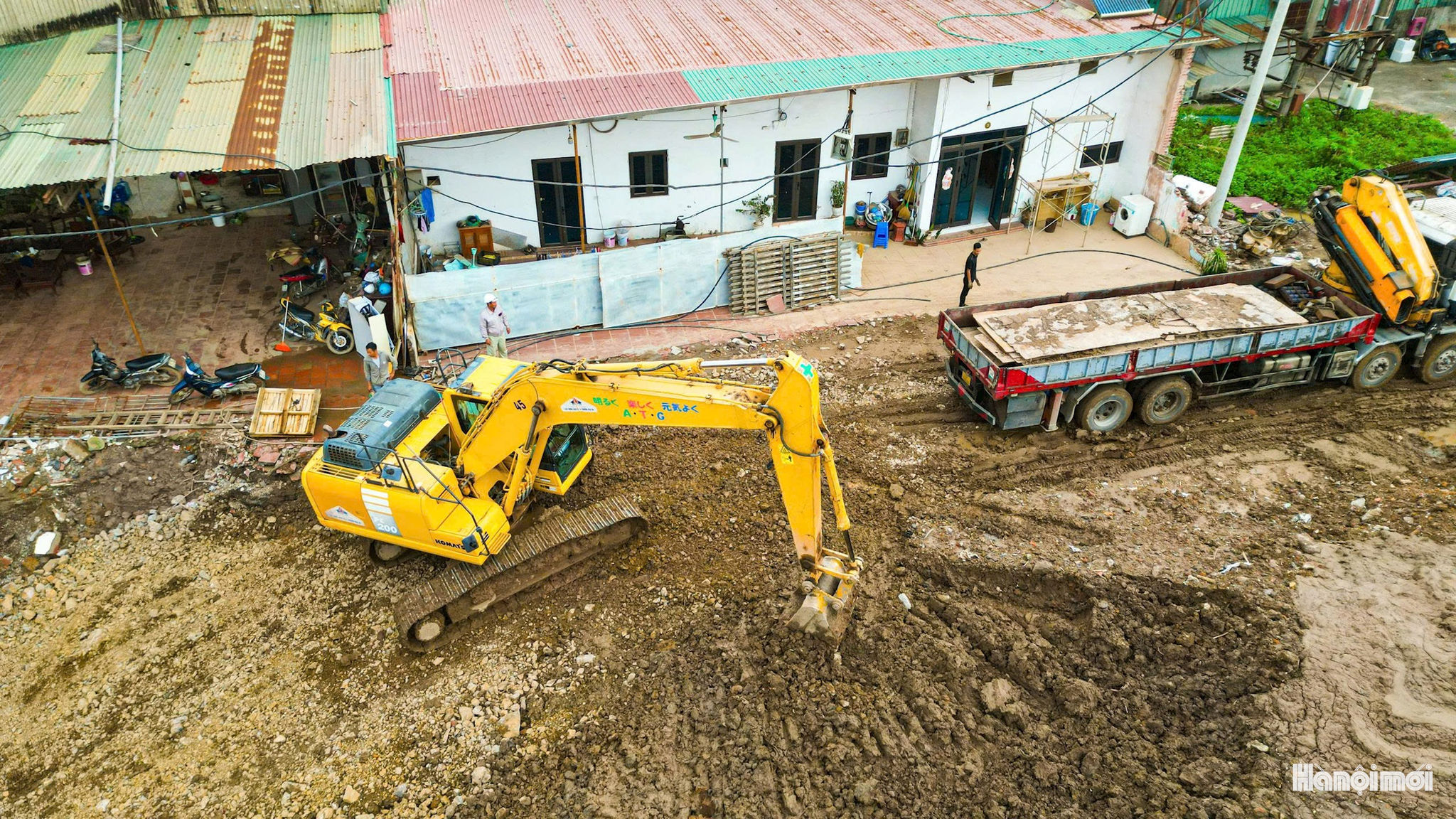 W_cau-mai-linh-8.jpg