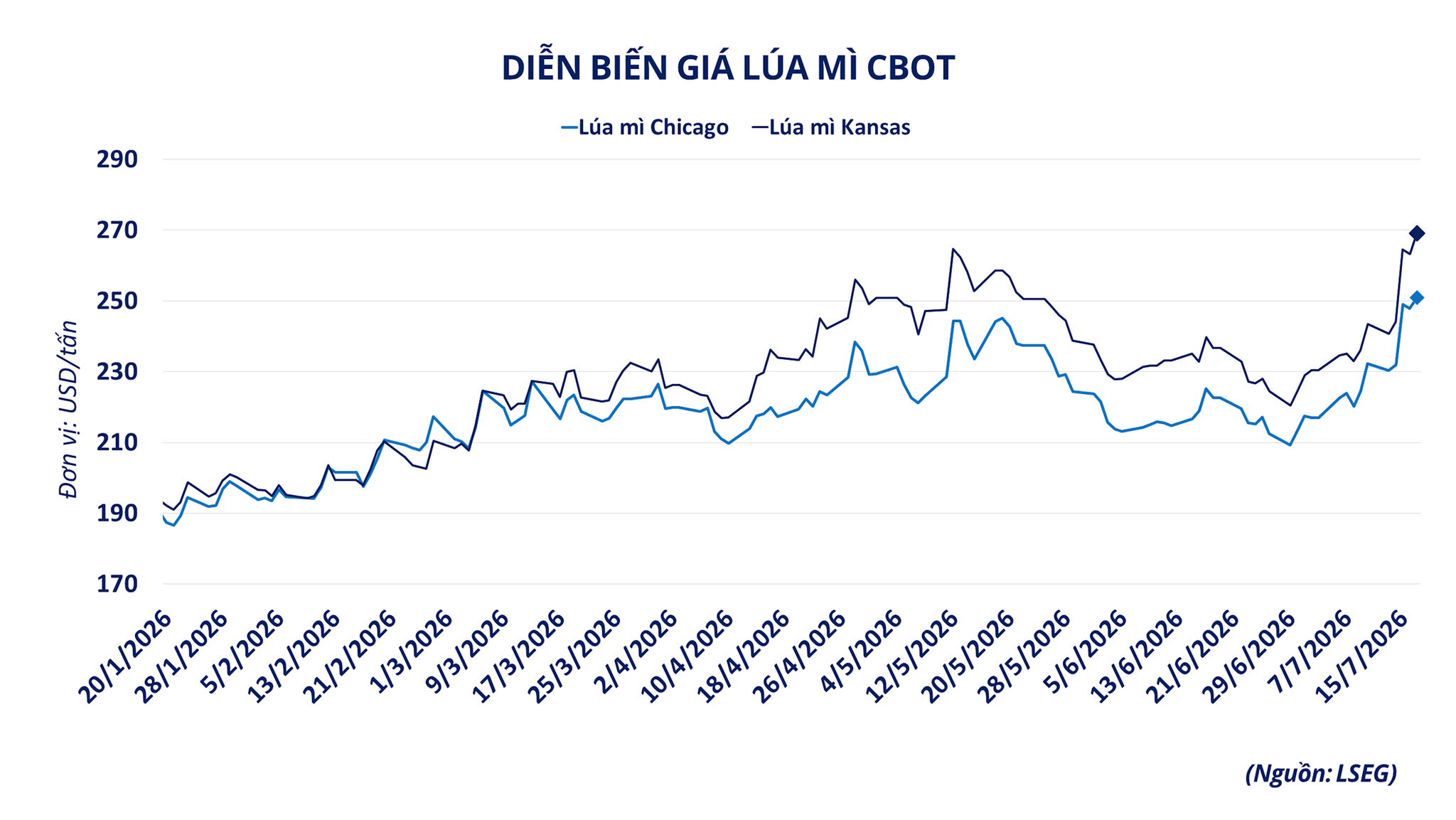 dien-bien-gia-lua-mi-cbot.png