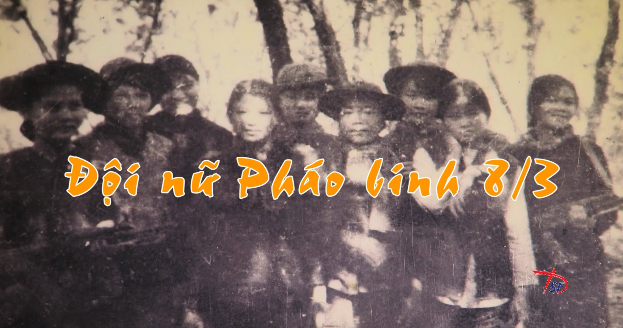 doi-phao-binh-8-3.jpg