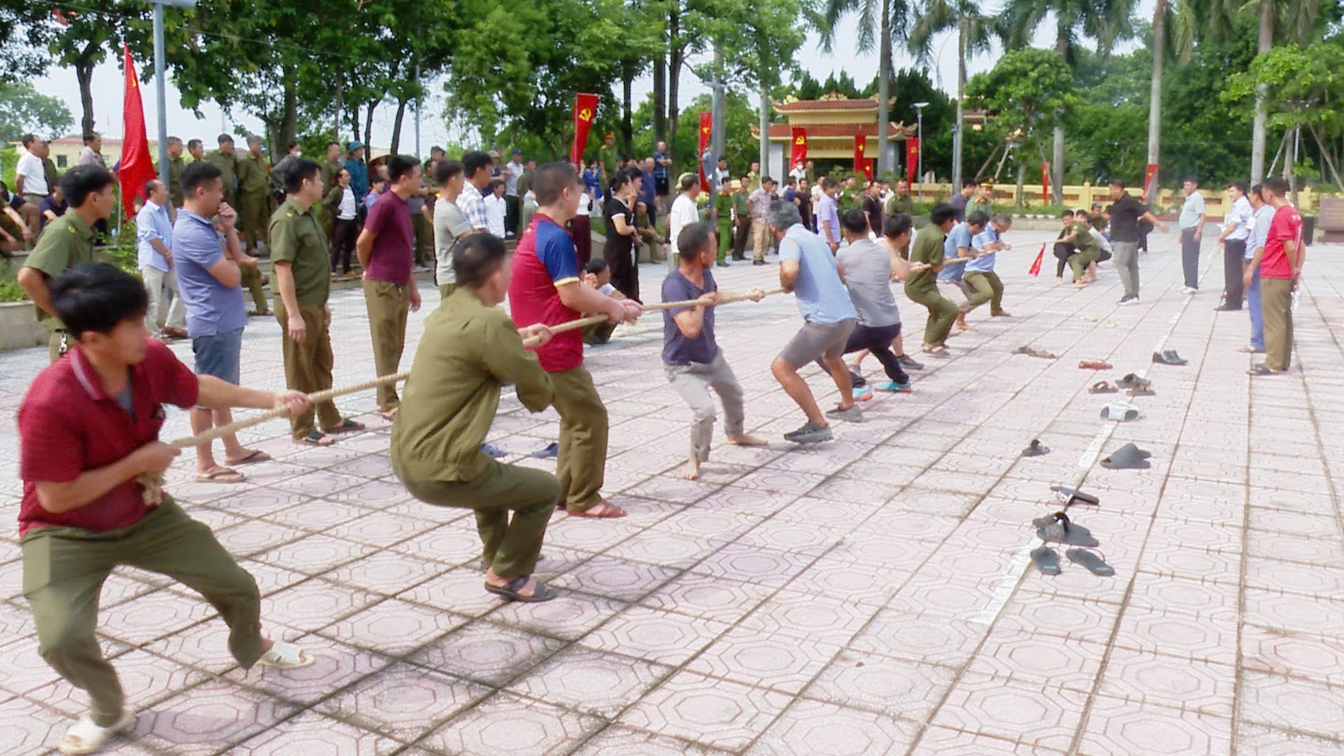 ung-hoa-tdtt.jpg
