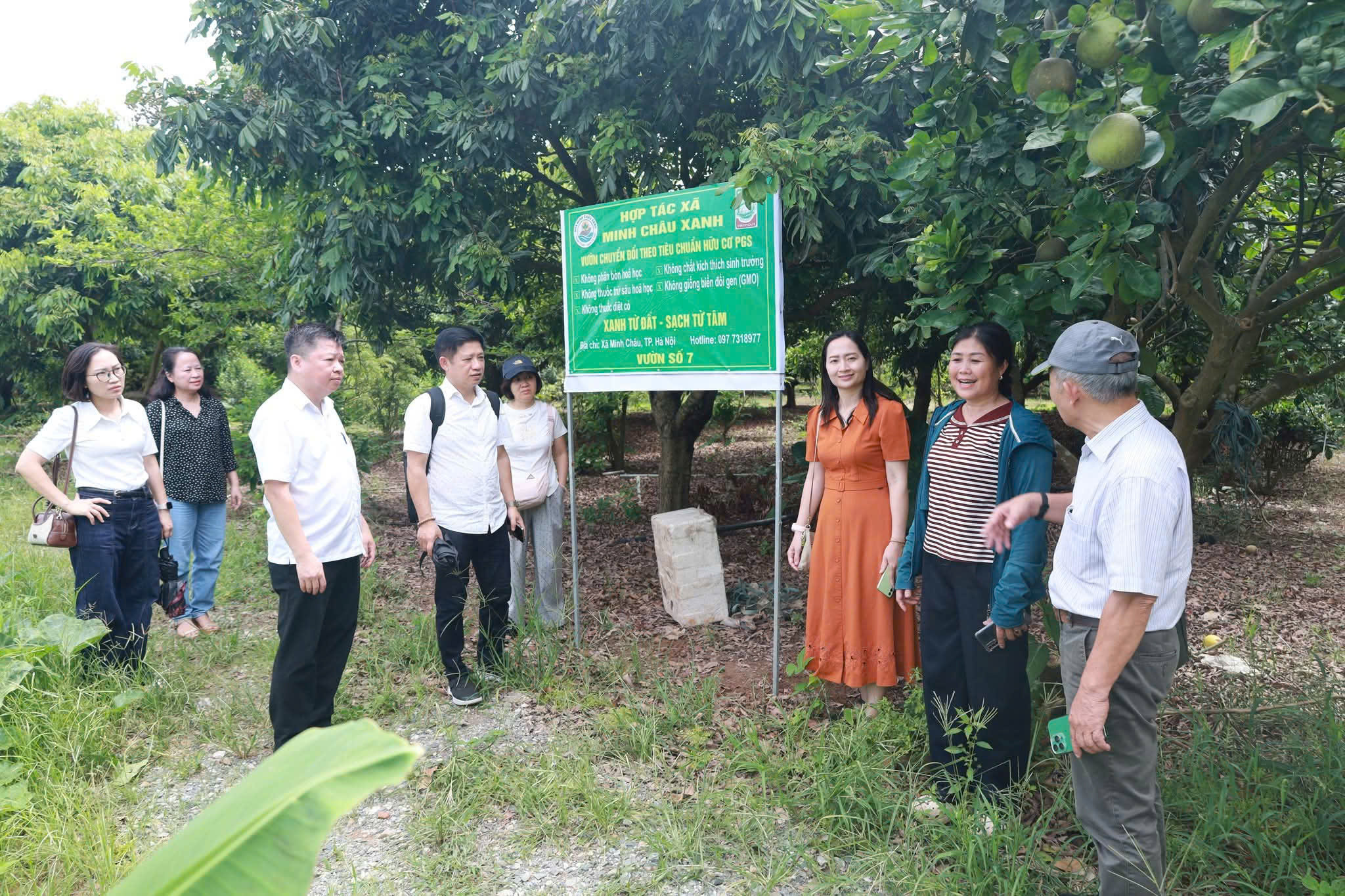 Sở Du lịch Hà Nội thăm, hướng dẫn Hợp tác xã Minh Châu Xanh phát triển sản xuất gắn với du lịch trải nghiệm. Ảnh: MC