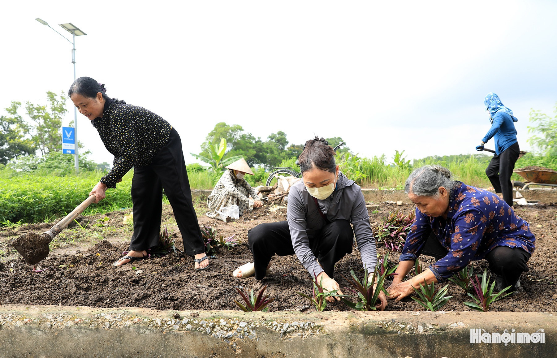 W_ve-sinh-moi-truong-xa-thu-lam-12.jpg