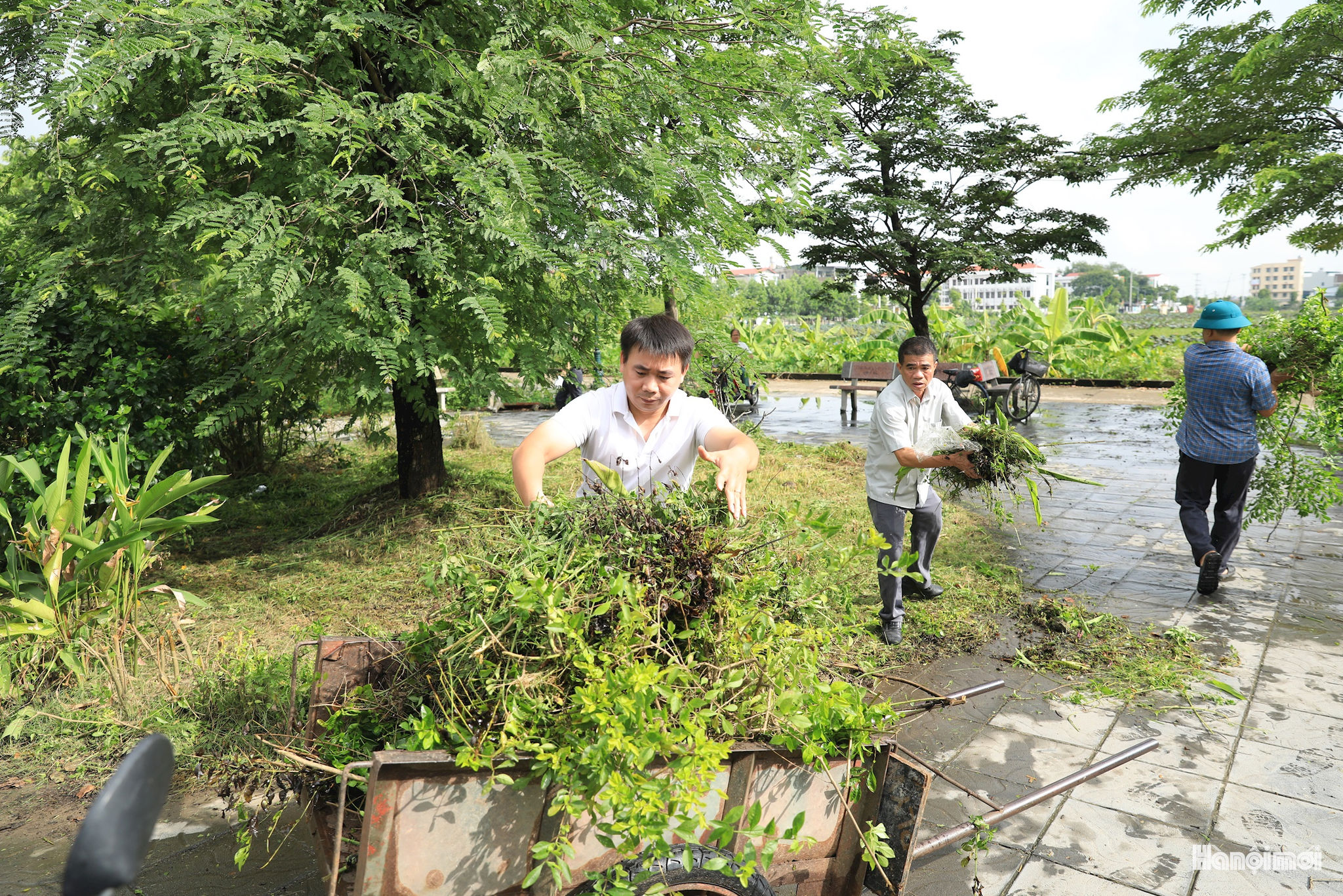 W_ve-sinh-moi-truong-xa-thu-lam-6.jpg