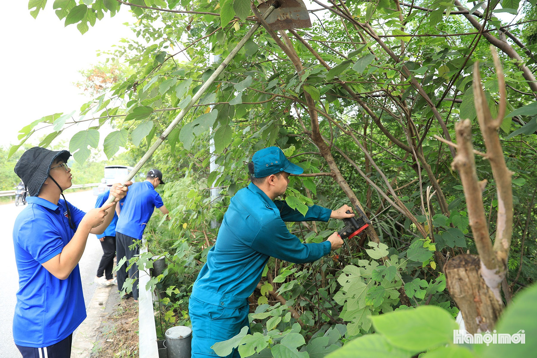 W_ve-sinh-moi-truong-xa-thu-lam-9.jpg