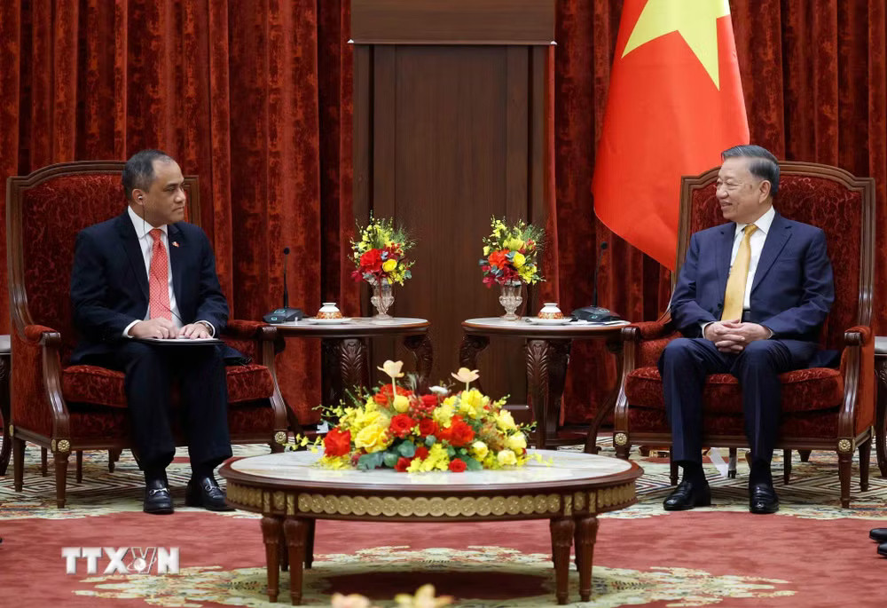 ttxvn-tong-bi-thu-chu-tich-nuoc-tiep-dai-su-dai-bien-cac-nuoc-asean-2.jpg