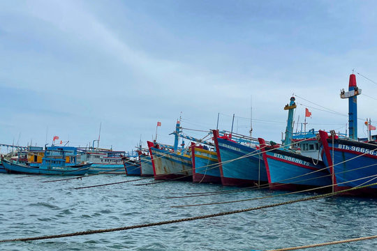 [Podcast] Tin tức ngày 5-8: Bão số 3 mạnh lên, chưa ảnh hưởng đến đất liền