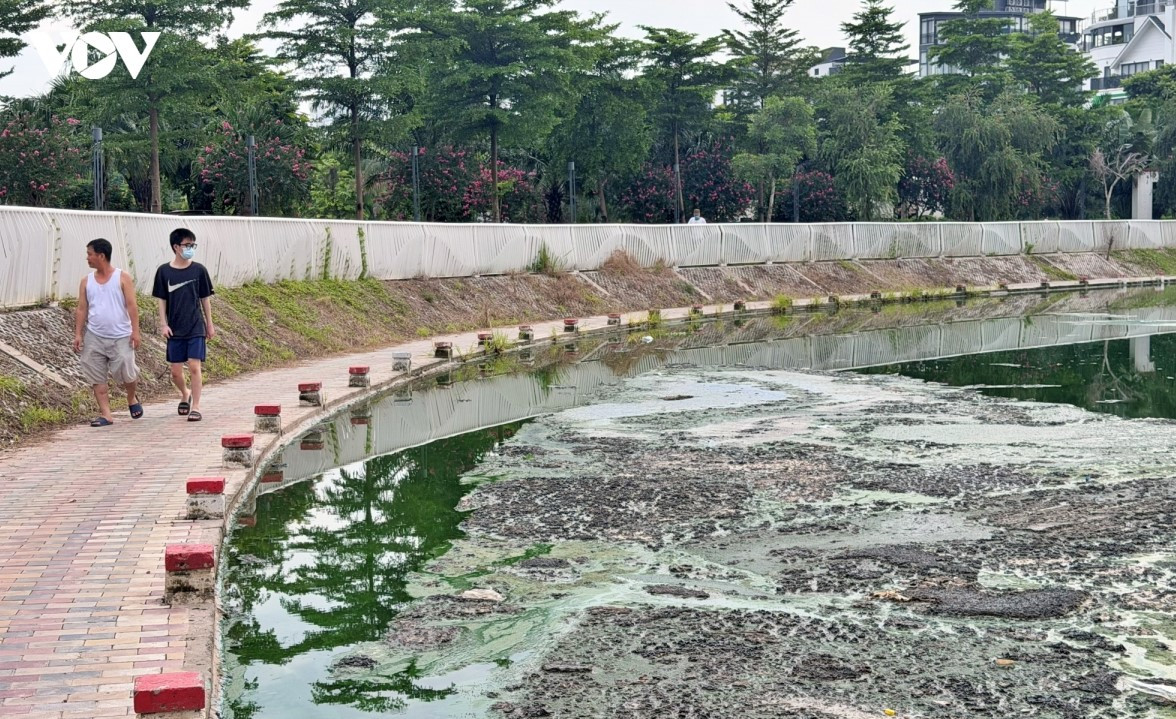 ngoc-thuy.jpg