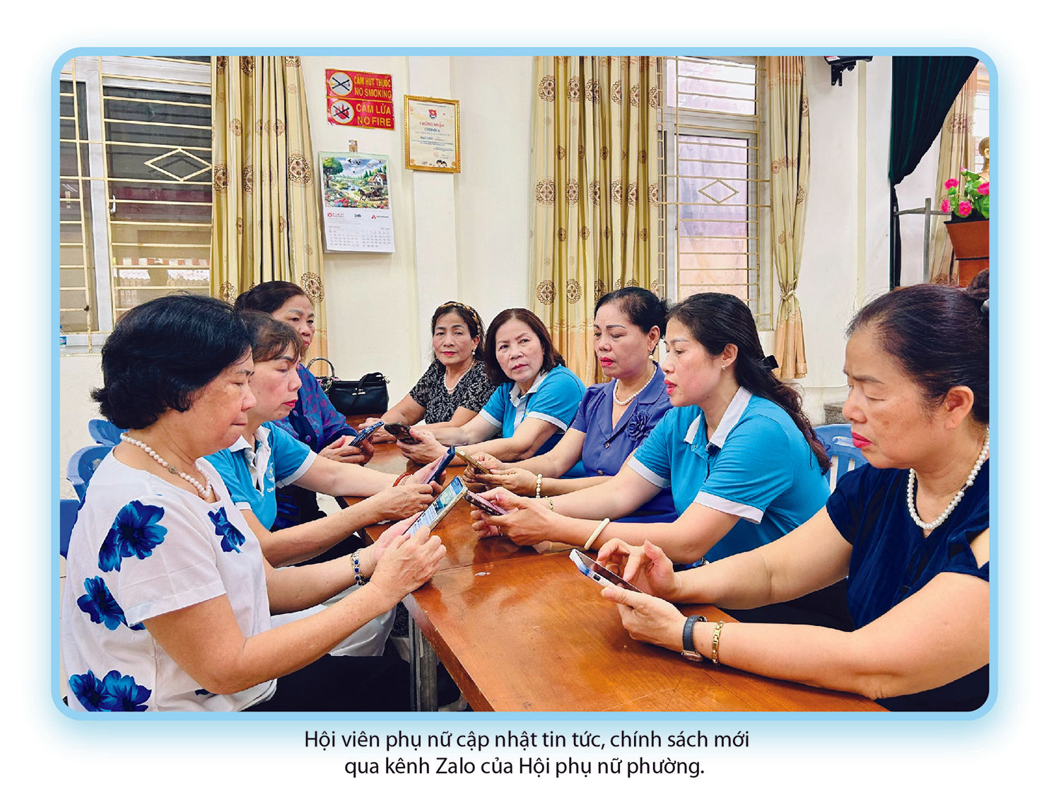 anh5hoangmai(1).jpg