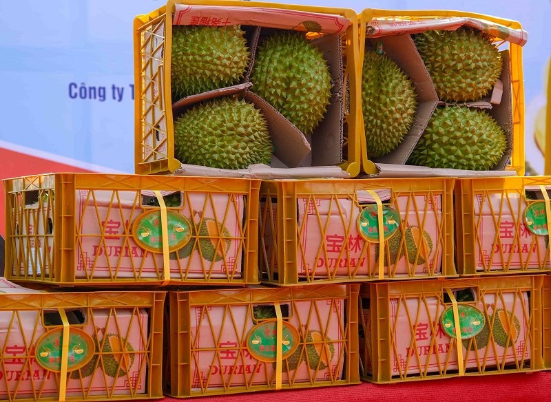 sau-rieng-1.jpg