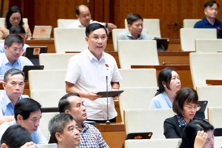 hoang-anh.jpg