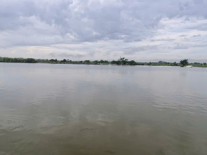Mộtso