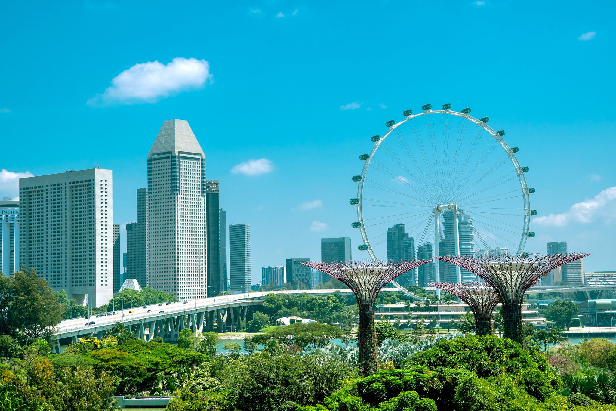 amazing-shot-gardens-by-bay-singapore.jpg