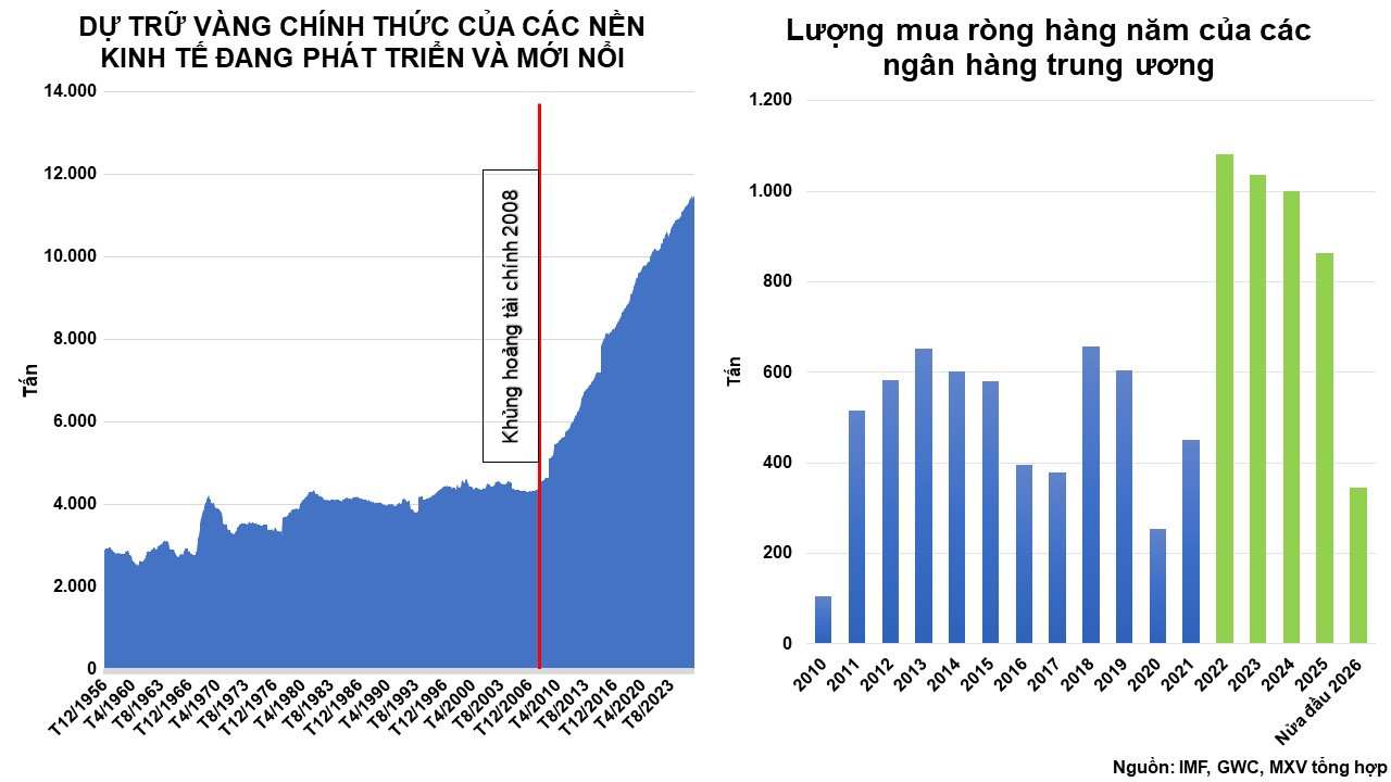 luong-vang-du-tru-cua-cac-nen-kinh-te-dang-phat-trien-va-moi-noi-luong-mua-rong-hang-nam-cua-cac-ngan-hang-trung-uong-.jpg