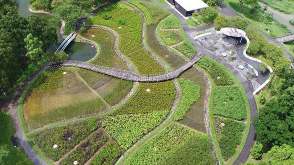 bishan-ang-mo-kio-park-cleansing-biotope.jpg