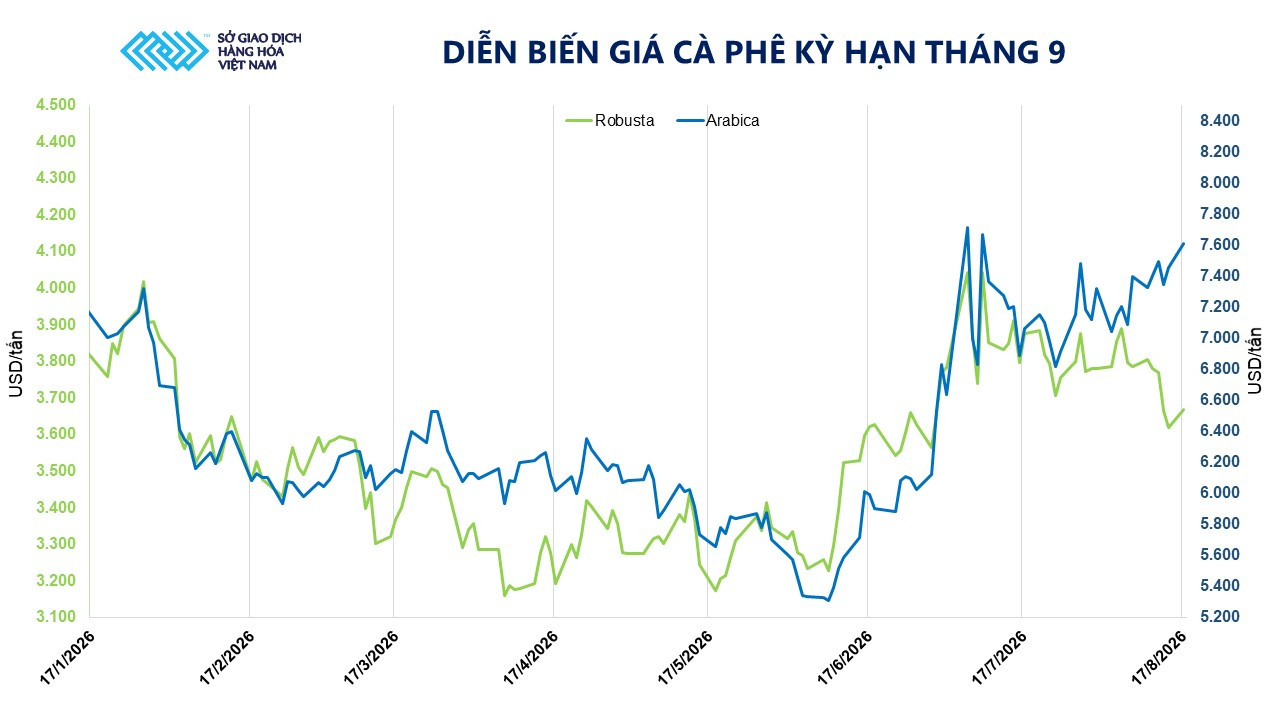 gia-ca-phe-ky-han-thang-9.jpg