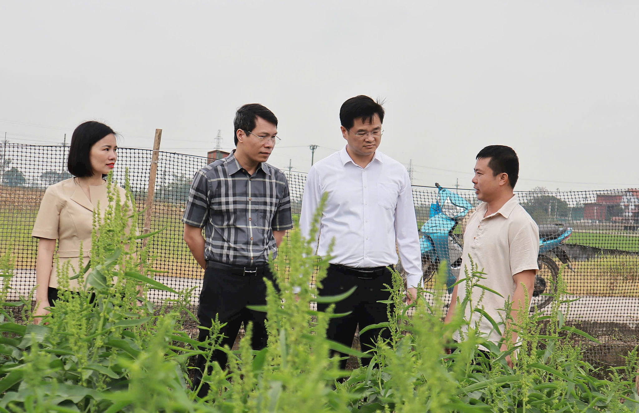 trong-sam-nu-hoang-mo-hinh-phat-trien-kinh-te-nong-nghiep-moi-tai-xa-hat-mon.-anh-minh-phu.jpeg