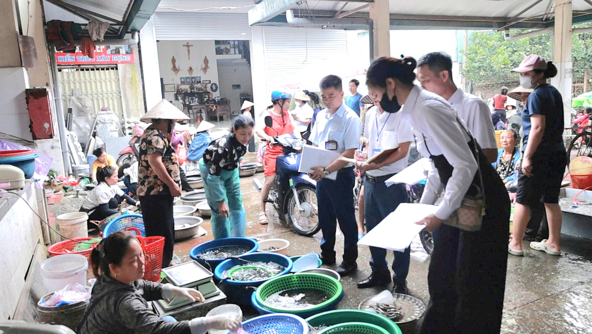 dai-xuyen-.jpg