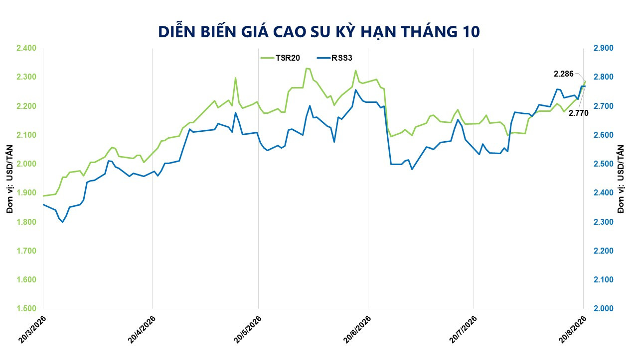 anh-4_-dien-bien-gia-cao-su-ky-han-thang-10..jpg