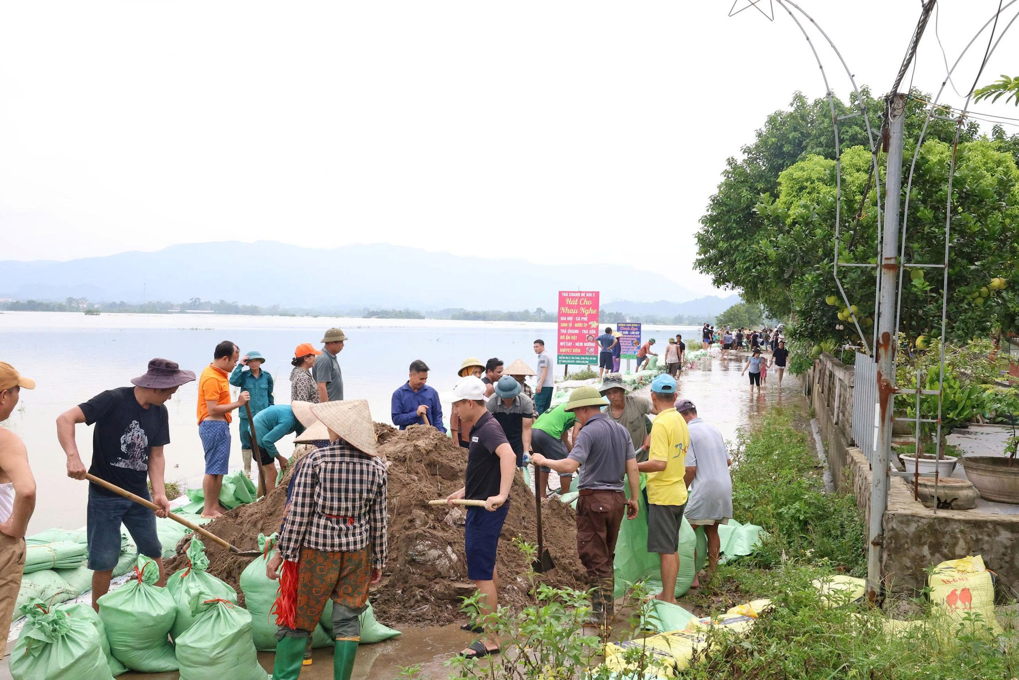 Hơn 150 người dân và lực lượng xung kích phòng, chống thiên tai xã Xuân Mai tham gia chống tràn đê Bùi 2. Ảnh: Hoàng Tình