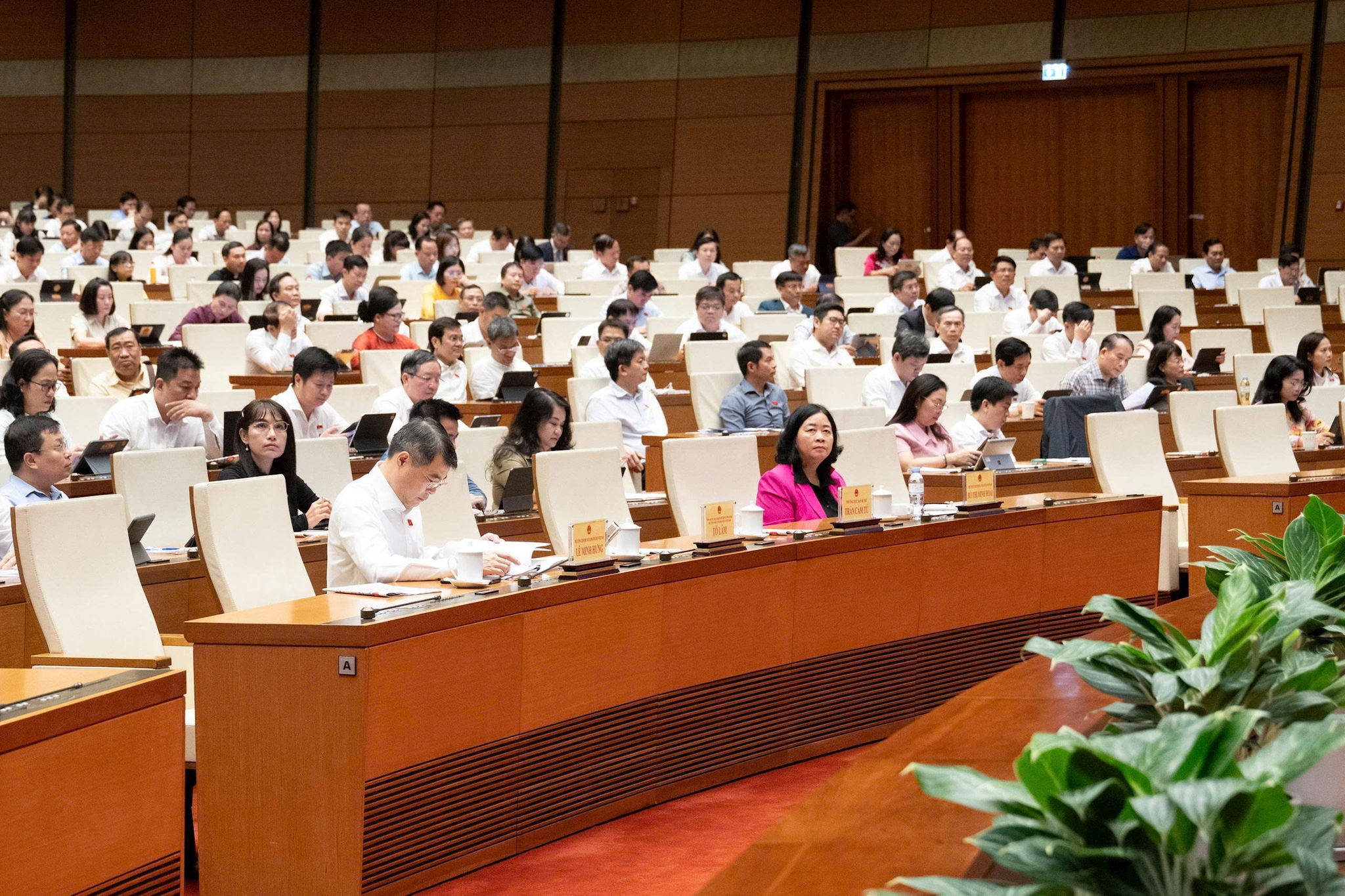 dai-bieu-24.8.jpg