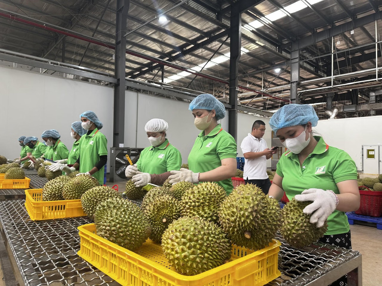 sau-rieng-1.jpg