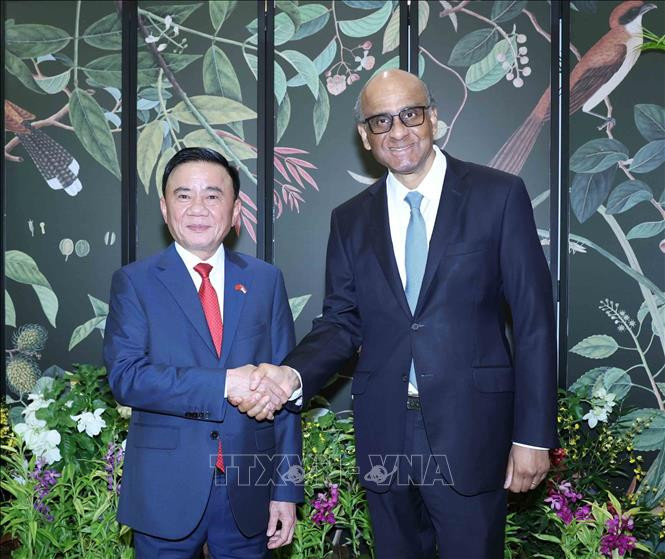 ttbbt-hoi-kien-tong-thong-singapore.jpg
