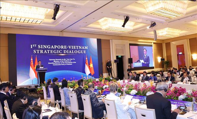 viet-sing-2.jpg