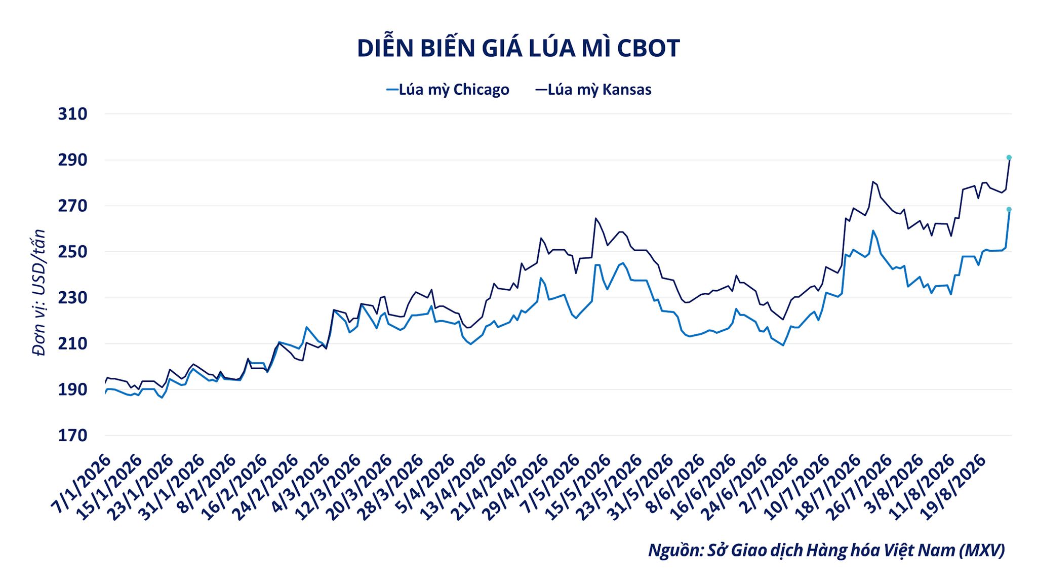 anh-2-dien-bien-gia-lua-mi-cbot.png