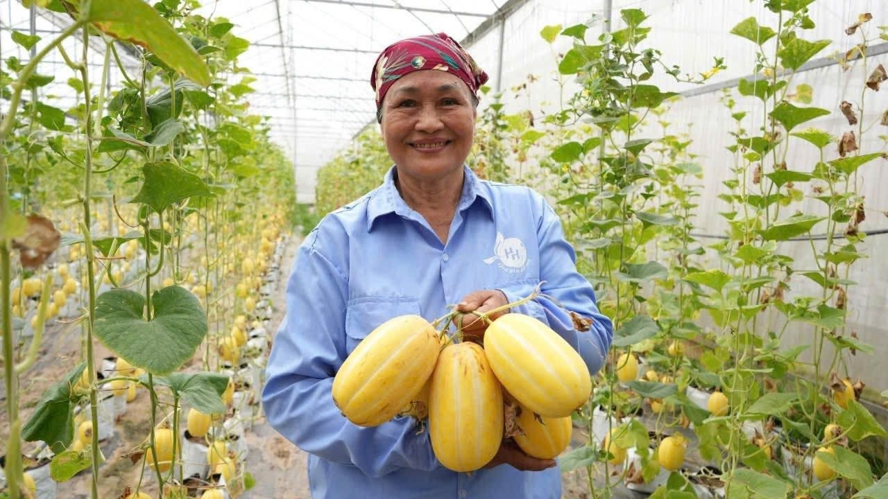 rau-vinh-ha-1.jpg
