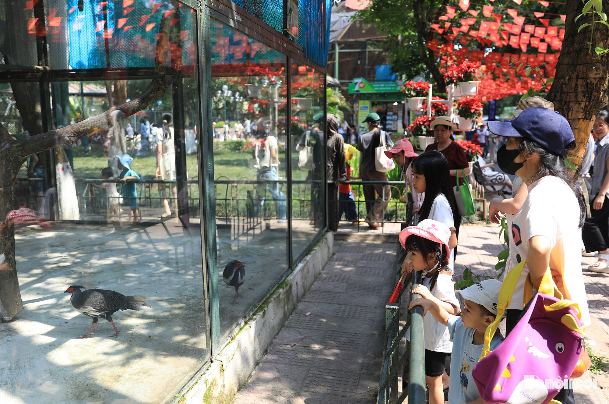 W_vuon-thu-ha-noi-3.jpg