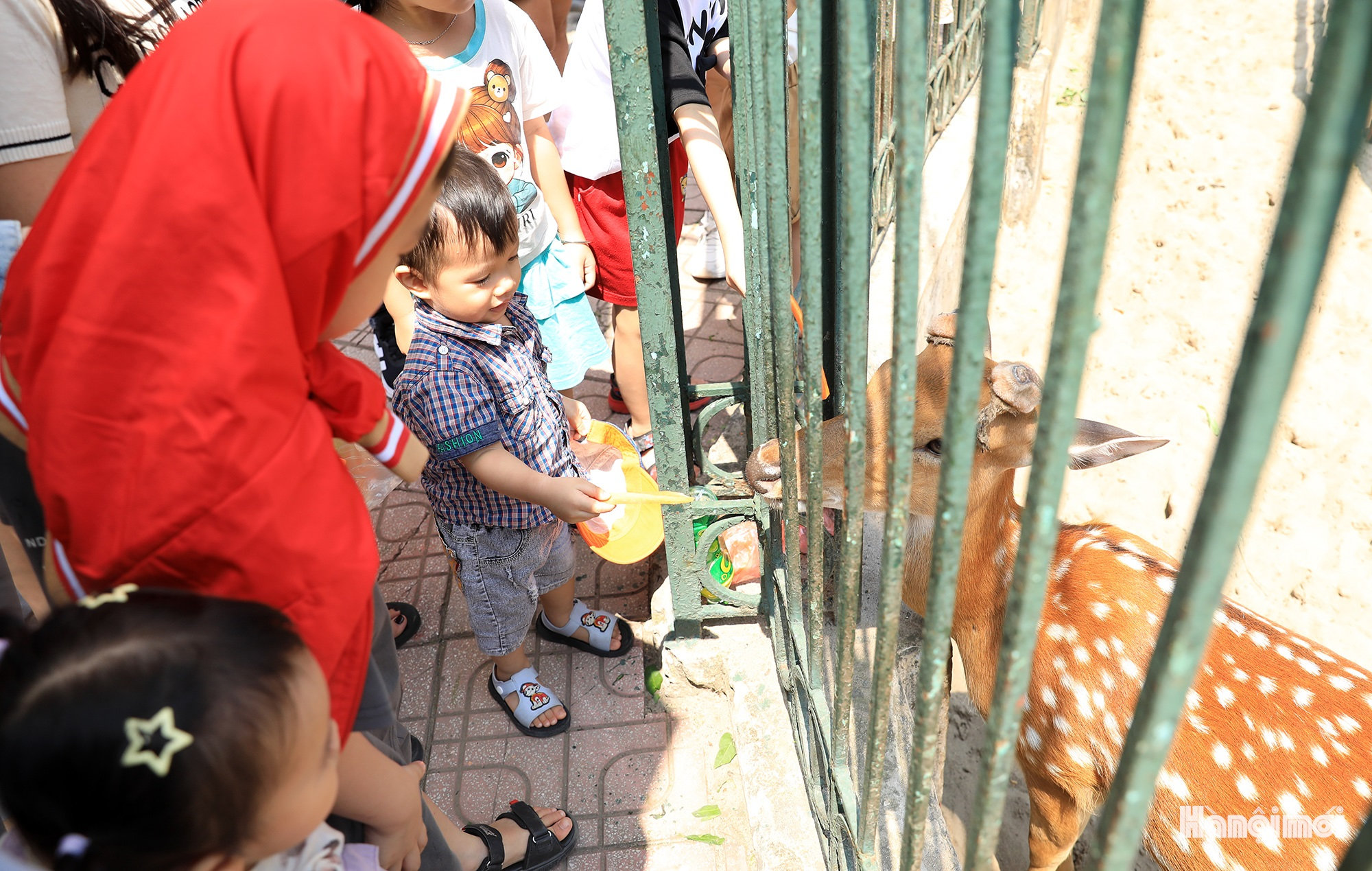 W_vuon-thu-ha-noi-9.jpg