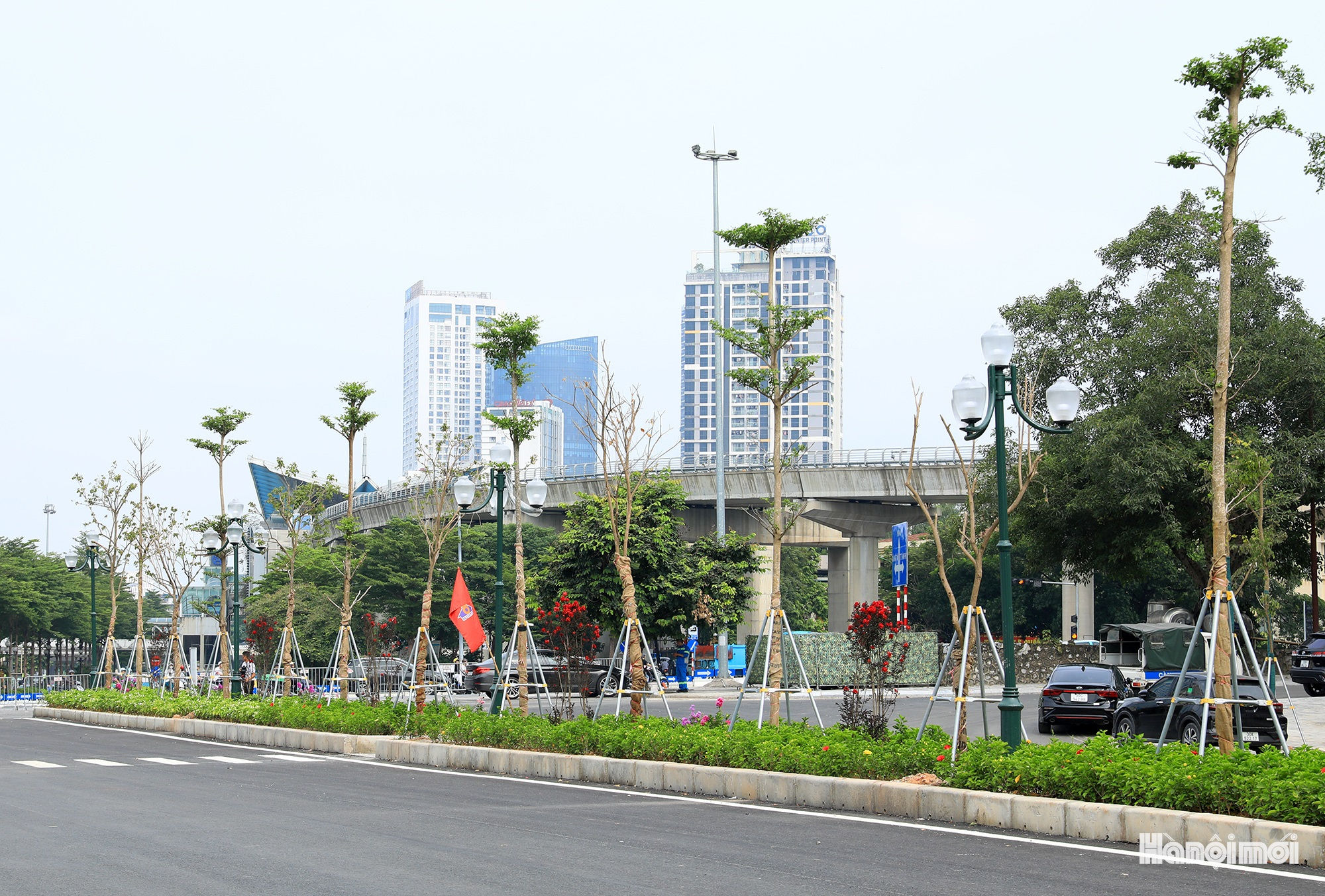 W_vanh-dai-1-4-.jpg