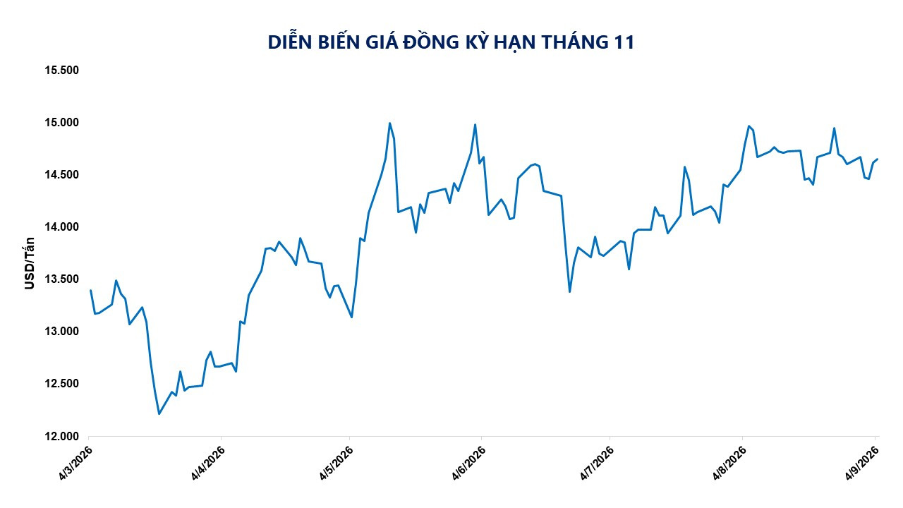 anh-3_-dien-bien-gia-dong-ky-han-thang-11.jpg