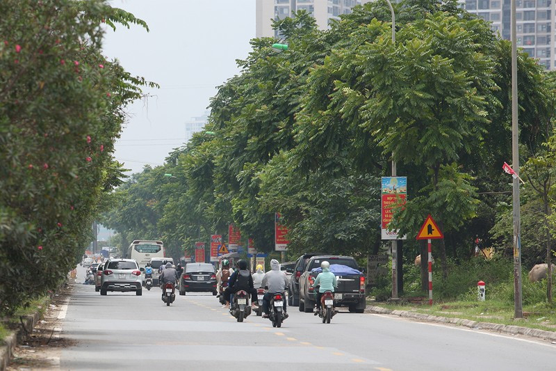 duong-gom-dai-lo-thang-long.jpg