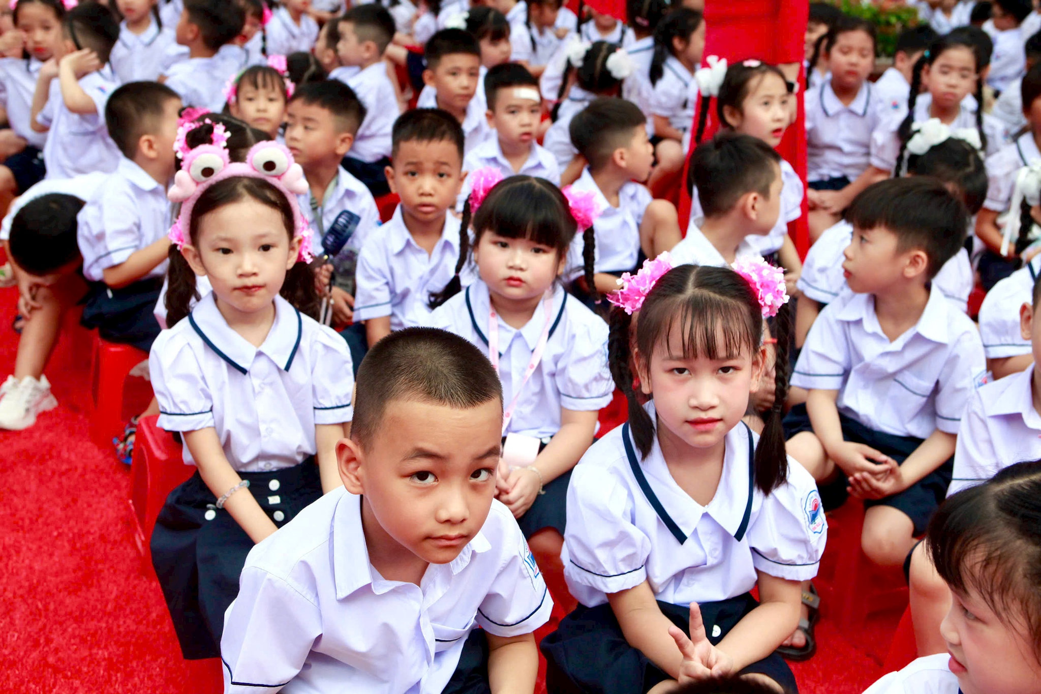 tieu-hoc-dn-a.jpg