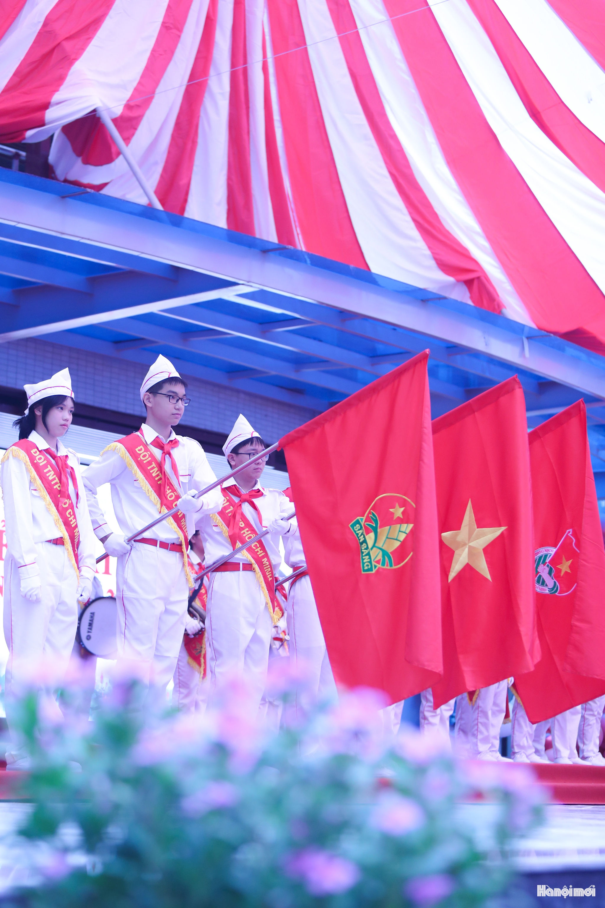 W_dnt_4115.jpg