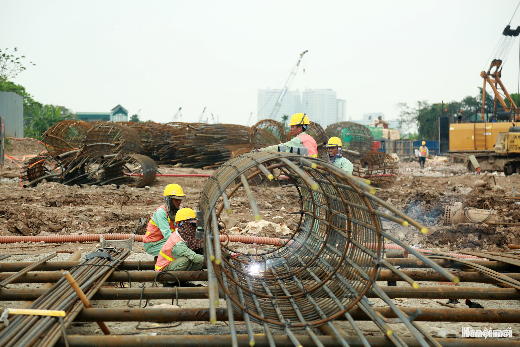 W_hung2303.jpg