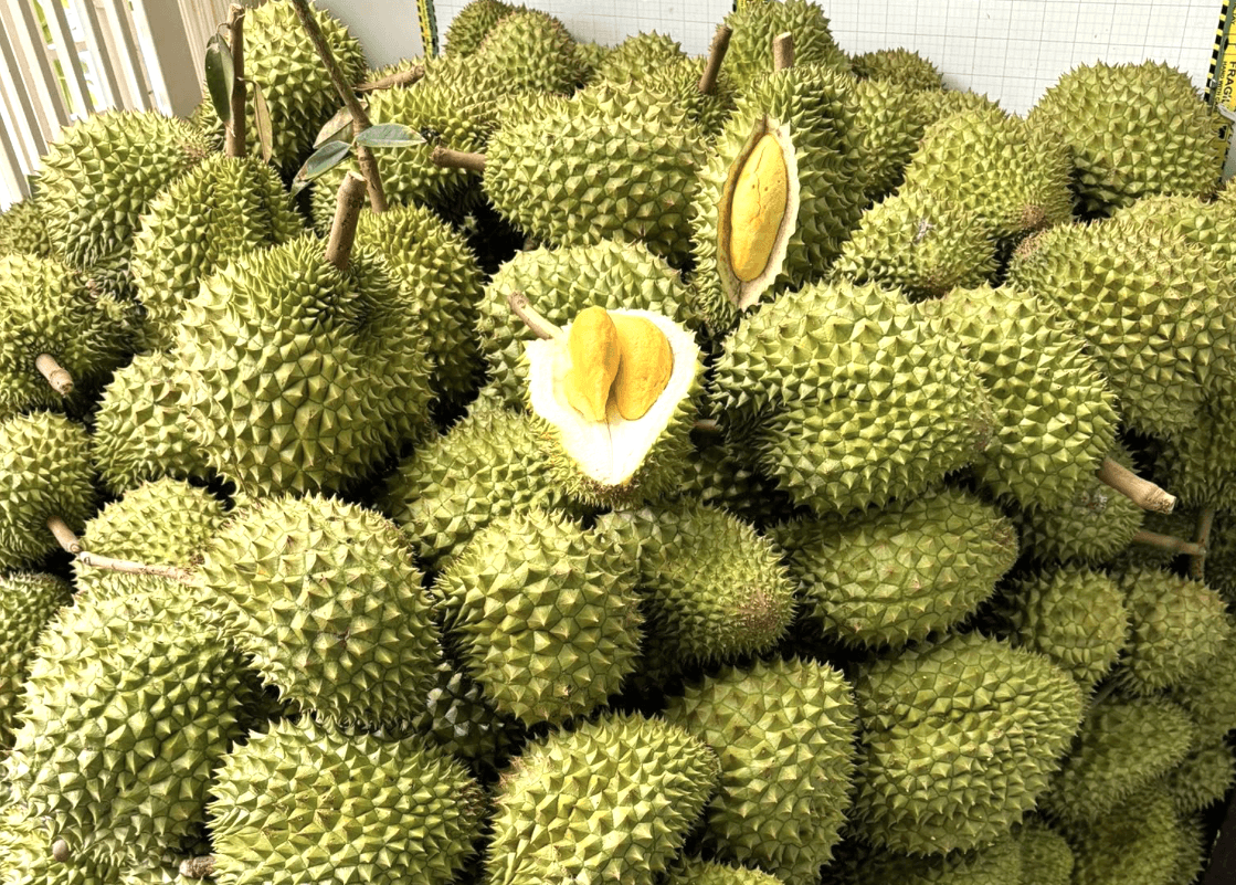 Xuất khẩu rau quả tăng trưởng mạnh, hướng tới mốc 10 tỷ USD