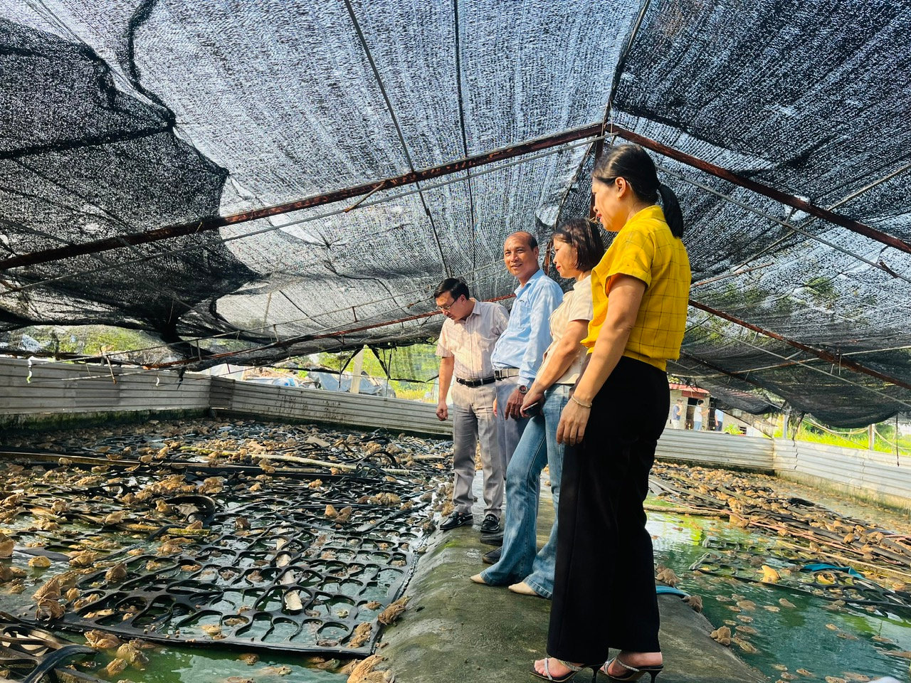 anh-4-khach-tham-quan.jpg
