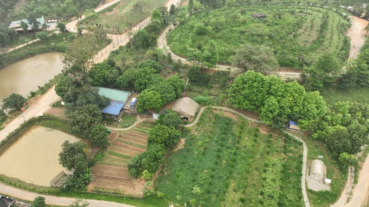 quang-linh-1.jpg