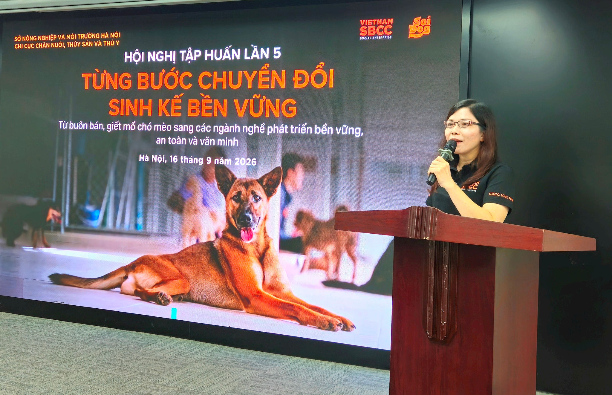 soidog-duyen.jpg