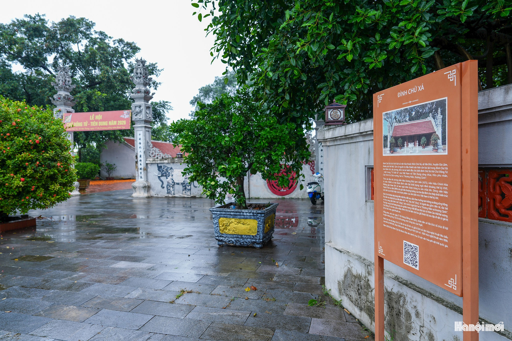 W_dk_05977.jpg