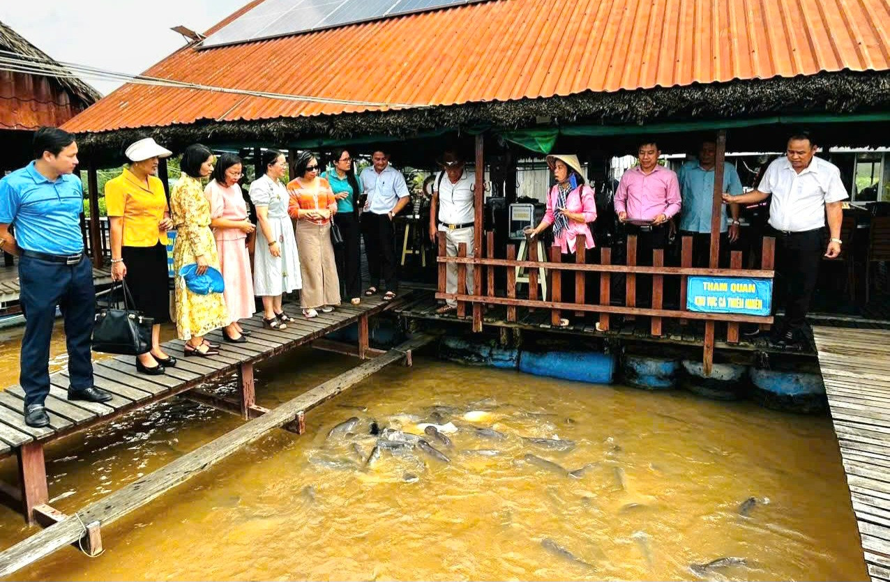 Đoàn công tác Hội Nông dân thành phố Hà Nội tham quan các mô hình kinh tế tại thành phố Cần Thơ. Ảnh: Hải Yến