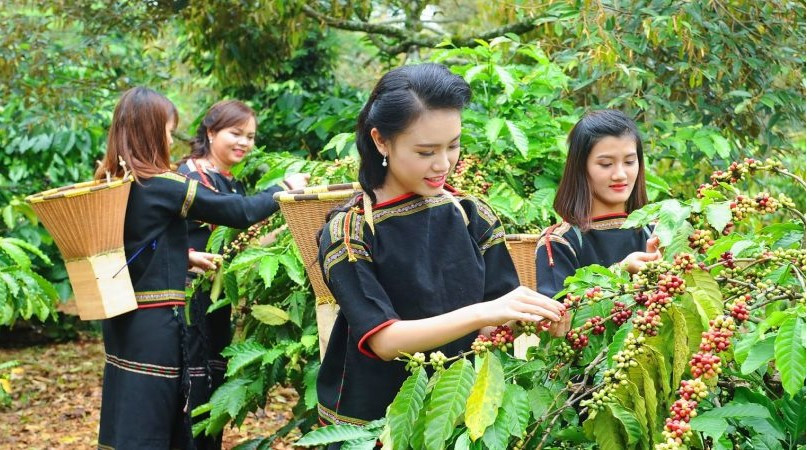 Khai thác chỉ dẫn địa lý: Vì sao còn hạn chế?